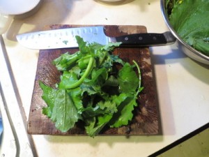 Broccoli Rabe Cutting