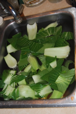 bok choy in sink