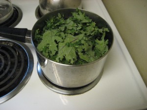 Red Russian Kale