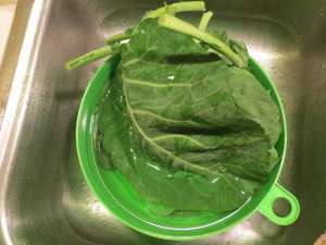 Collard Leaf in Salad Spinner