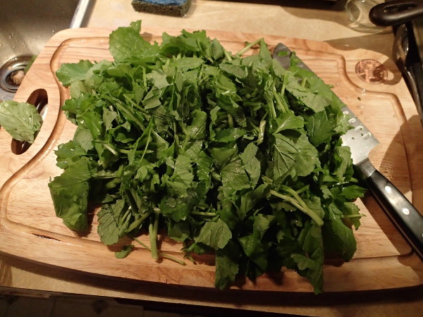 Risotto chopped broccoli raab