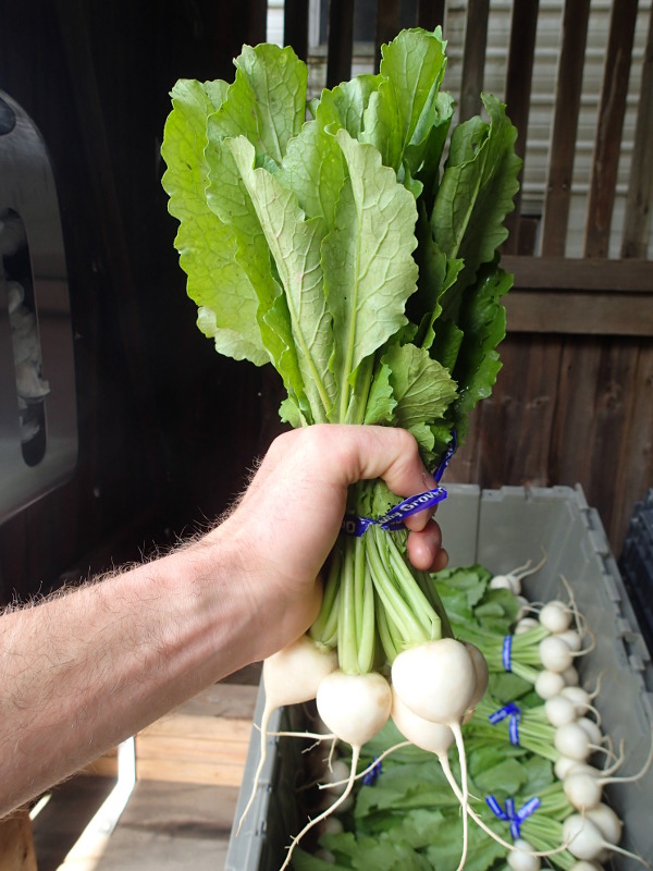 Turnip Greens on Eggs - Tinicum CSA in Bucks County