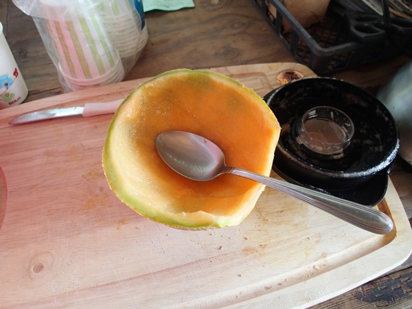 Empty Melon