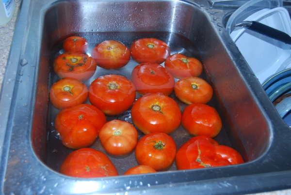 Floating Tomatoes