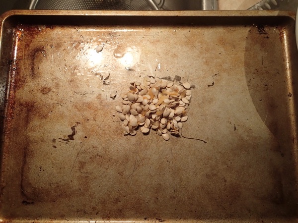 Seeds on Baking sheet