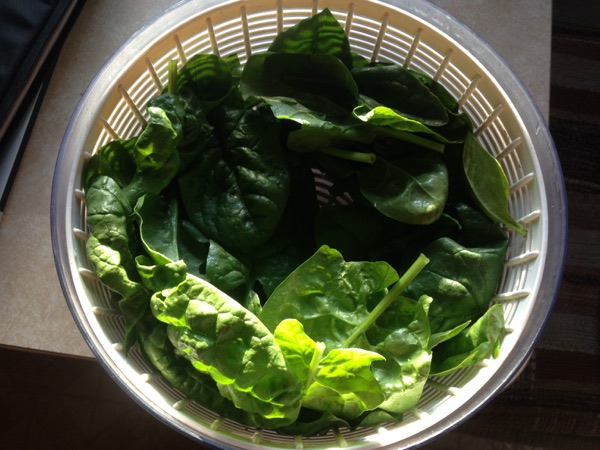 Spinach Omelette, Salad Spinner