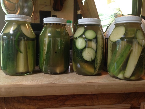 Dill Pickles, Complete