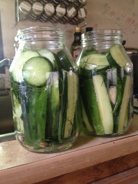 Dill Pickles, Filled jars