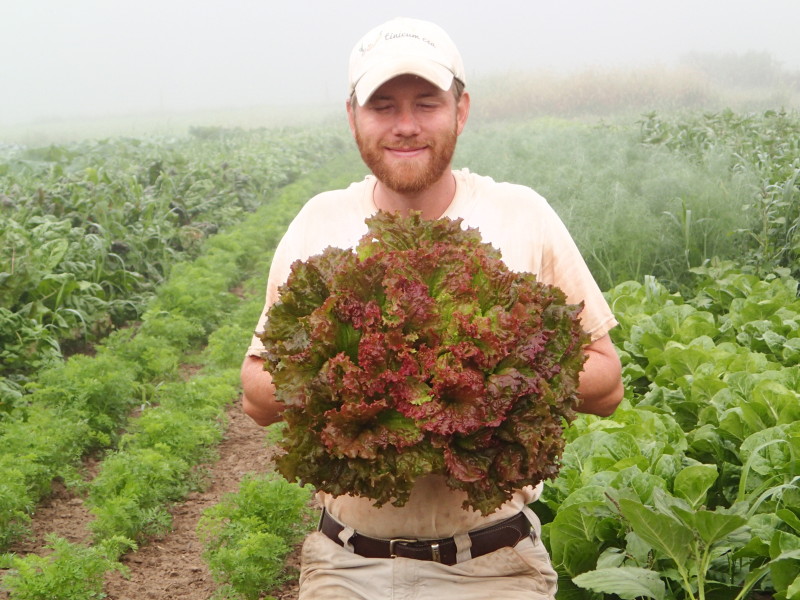 Stefan Holds a Lettuce