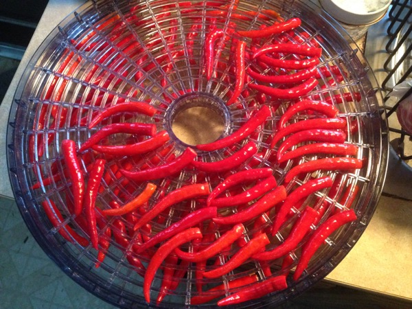 Ground Thai Peppers, Dehydrator