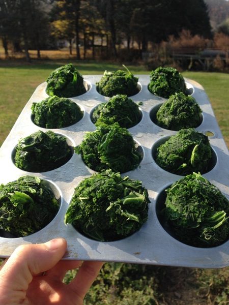 blanched-kale-muffin-tin-frozen